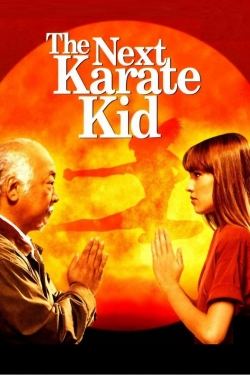 Watch The Next Karate Kid Full Movies Free HD Online 123Movies Alternative Sites | TwoMovies.tv