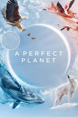 Watch A Perfect Planet Full Movies Free HD Online 123Movies Alternative Sites | TwoMovies.tv