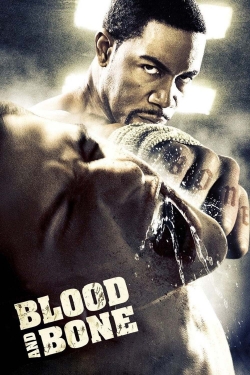 Watch Blood and Bone Full Movies Free HD Online 123Movies Alternative Sites | TwoMovies.tv