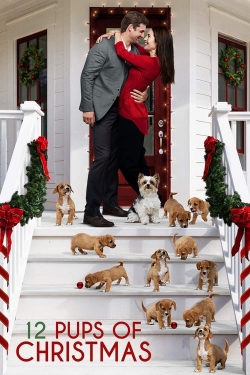 Watch 12 Pups of Christmas Full Movies Free HD Online 123Movies Alternative Sites | TwoMovies.tv