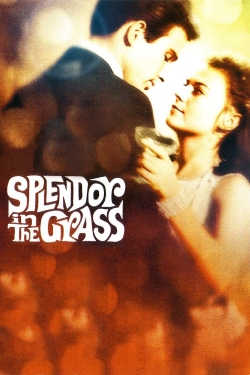 Watch Splendor in the Grass Full Movies Free HD Online 123Movies Alternative Sites | TwoMovies.tv