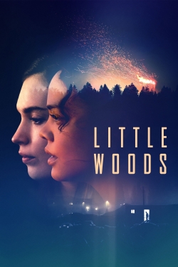 Watch Little Woods Full Movies Free HD Online 123Movies Alternative Sites | TwoMovies.tv