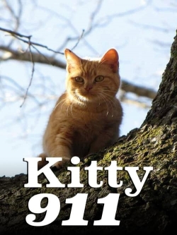 Watch Kitty 911 Full Movies Free HD Online 123Movies Alternative Sites | TwoMovies.tv